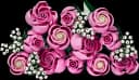 Bouquet of Pink Roses - 1